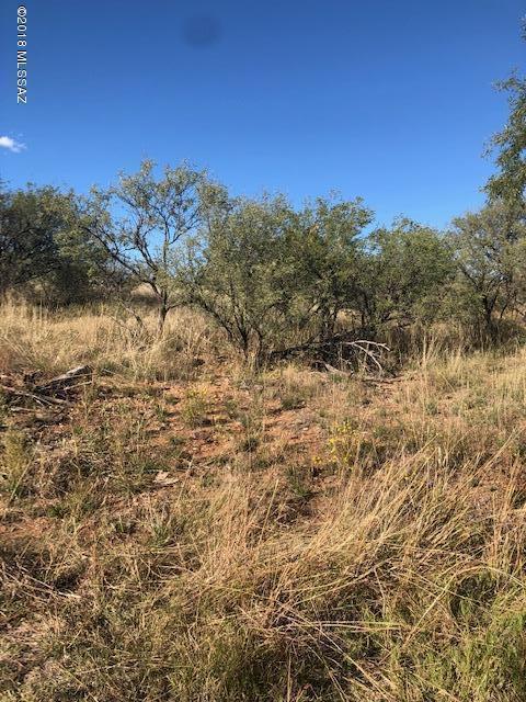 Three R, Unit 1929 Patagonia, AZ 85624 - Photo 2 of 2