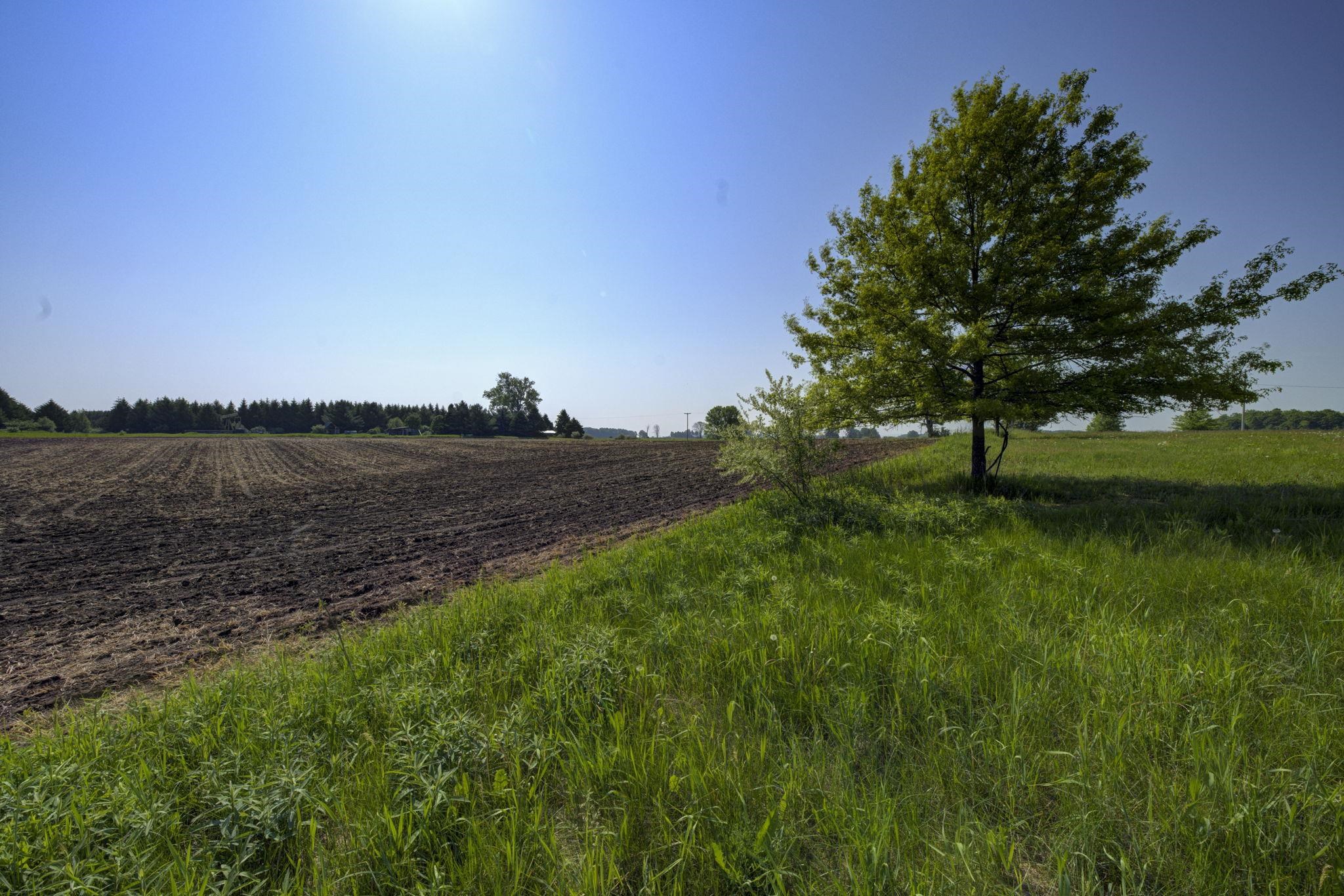 8484 Zue Road Buckley, MI 49620 - Photo 43 of 43