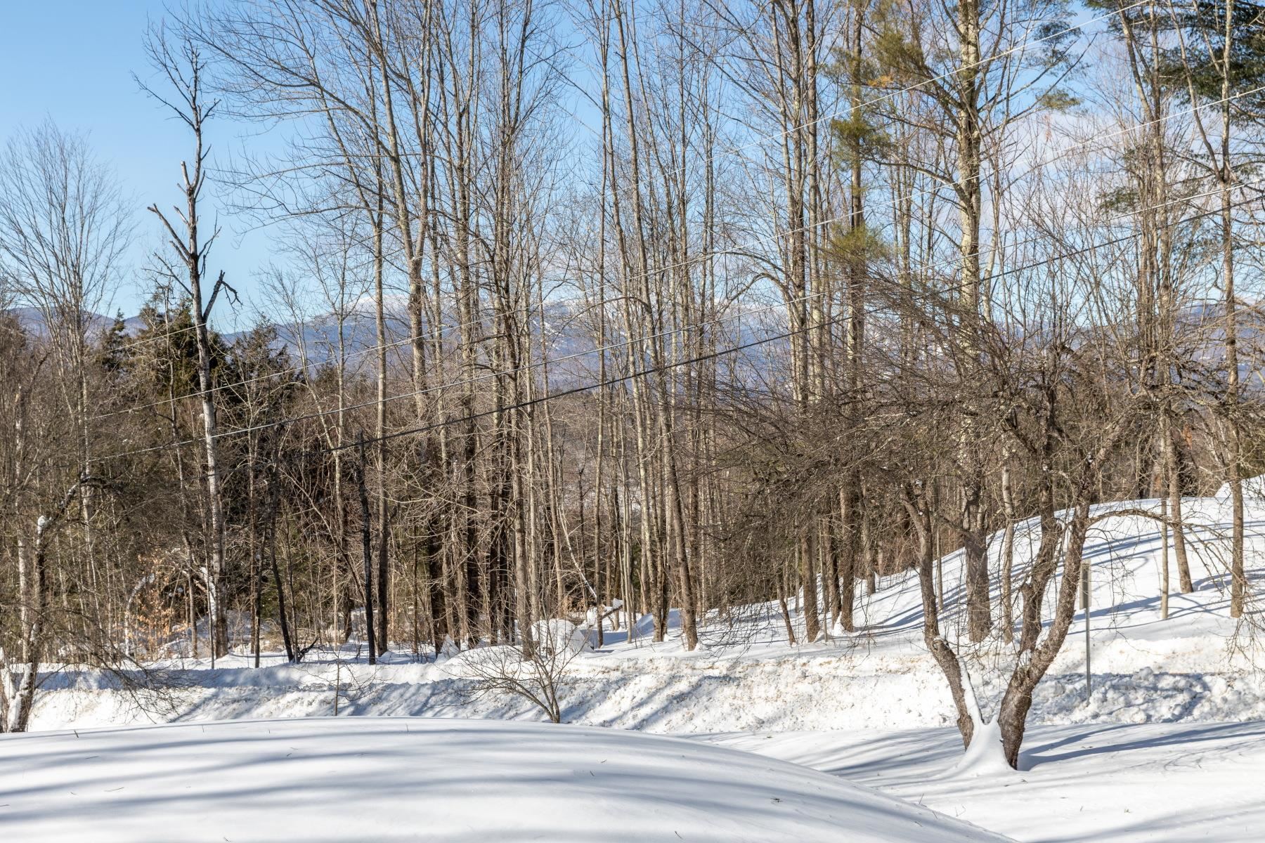38 Gilcrist Road Stowe, VT 05672 - Photo 31 of 31