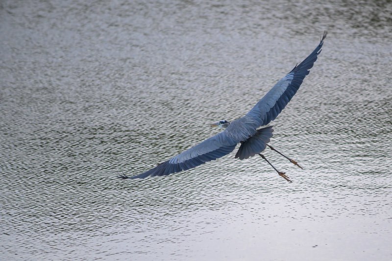 4847 Champion's Way Columbus, GA 31909 - Photo 12 of 39 a view of wooden staircase with white walls