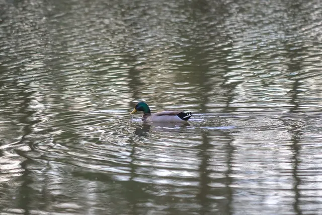 a view of house with a outdoor space