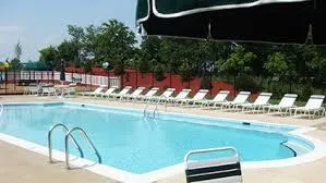 a view of swimming pool with a yard