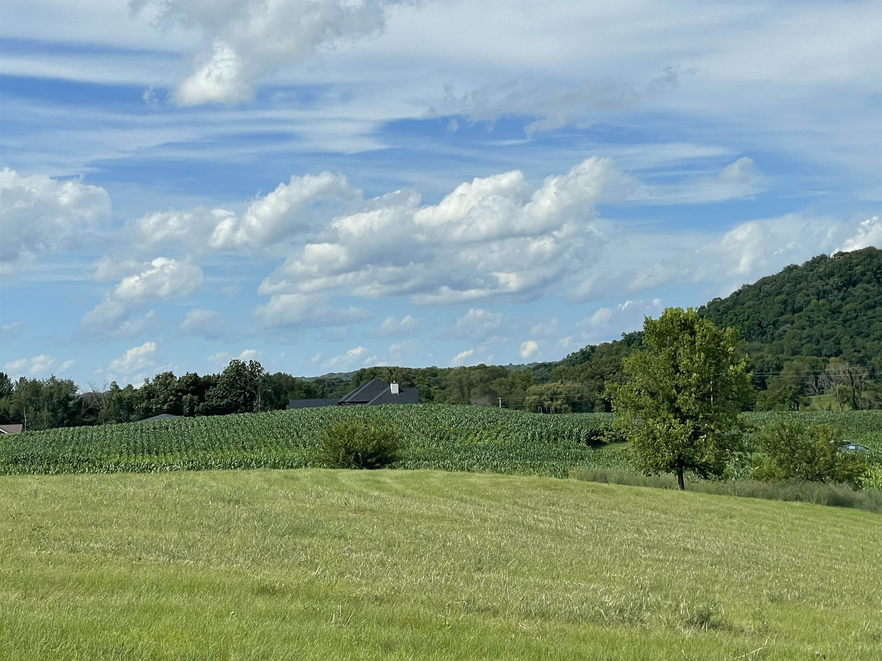 Lot 43 Jenny Lind Sauk City, WI 53583 - Photo 10 of 15