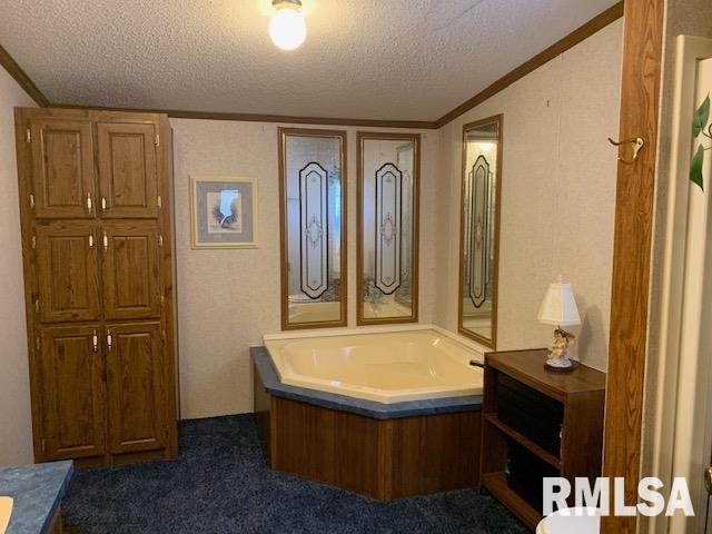 204 3rd Street Ina, IL 62846 - Photo 5 of 5
