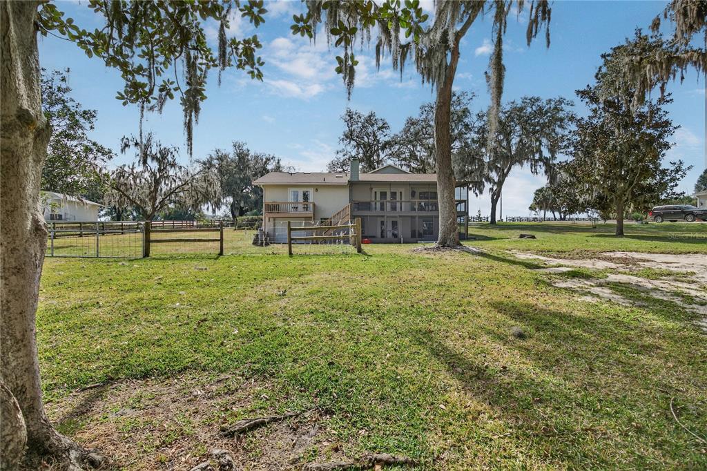 17025 Peru Road Umatilla, FL 32784 - Photo 8 of 73 a view of a big yard with palm trees