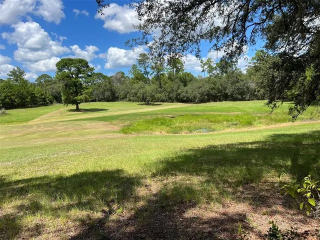 a view of an ocean and a yard