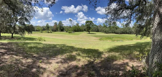 a view of a yard with a house and large trees