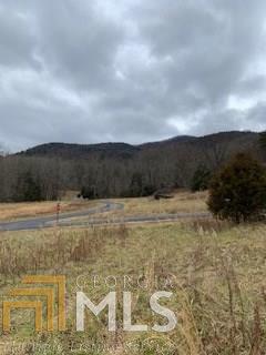 0 Prospect Road, Unit LT 84 Cleveland, GA 30528 - Photo 1 of 1