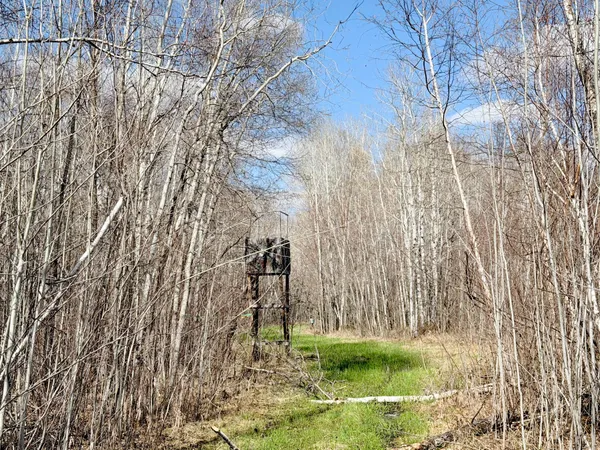 $129,000 | Tbd Nature Avenue, Palisade, MN 56469