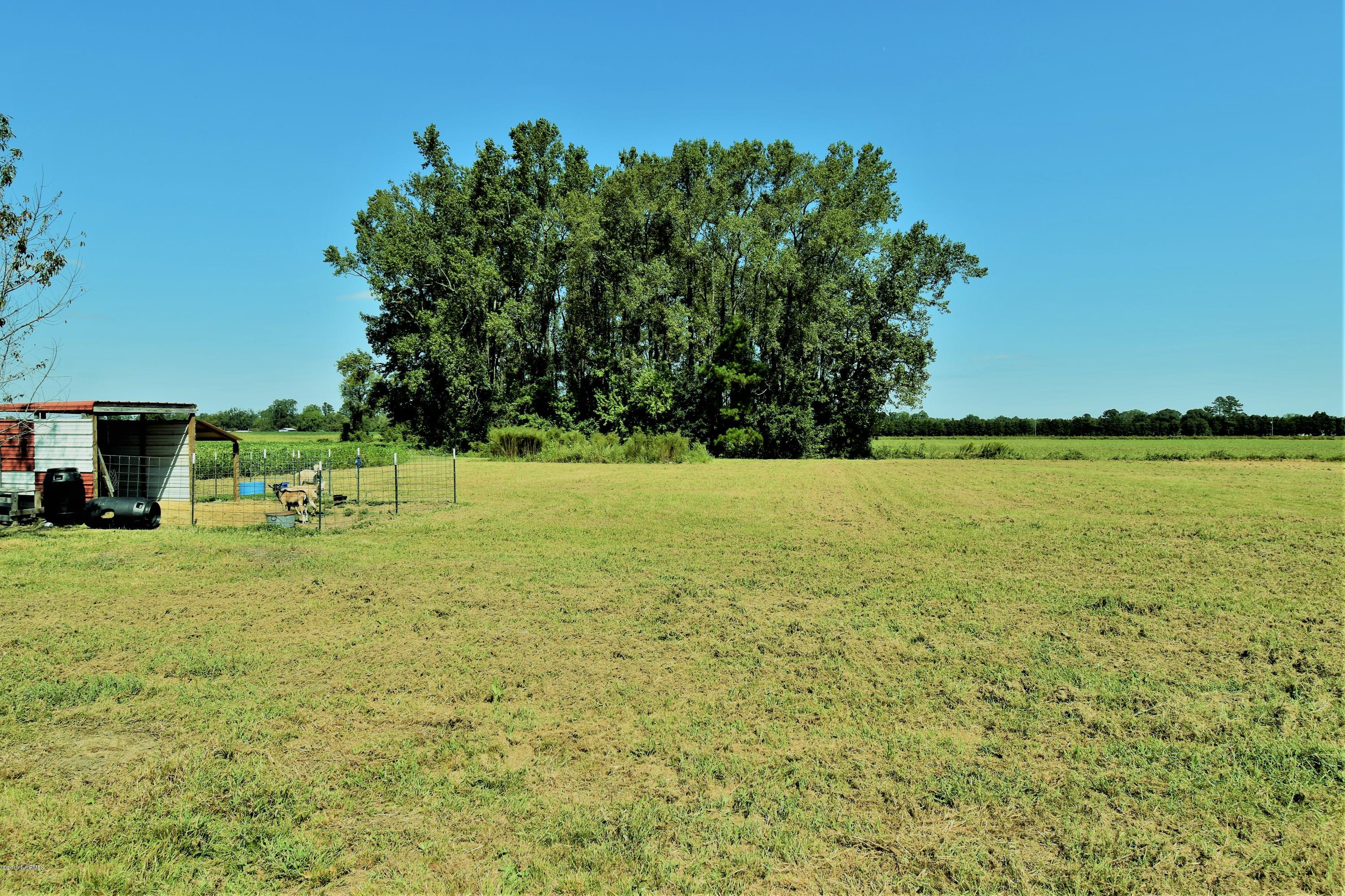 799 Plantation Road Trenton, NC 28585 - Photo 5 of 10 DSC_0004
