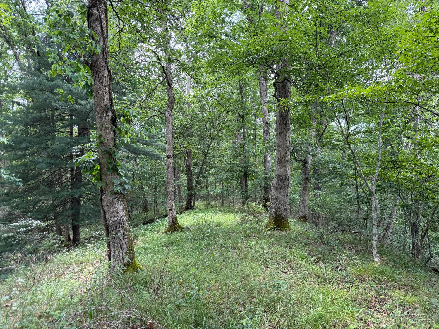 1323 Beaver Pond Road Peebles, OH 45660 - Photo 1 of 13