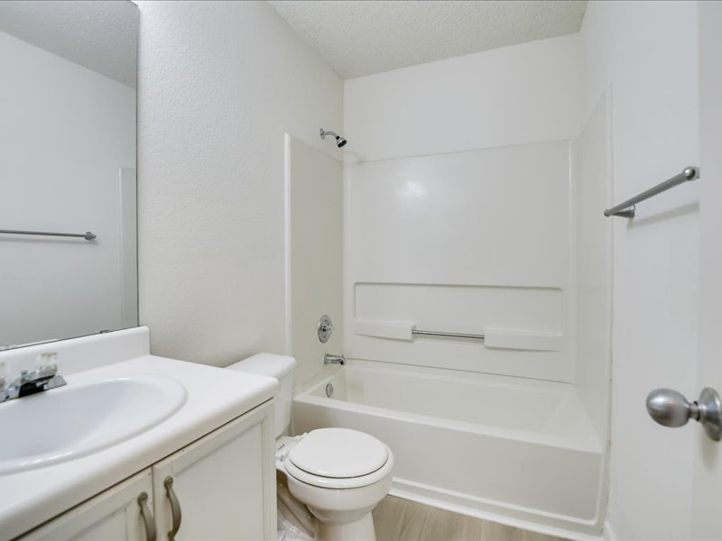 13827 Spring Heath Road Pflugerville, TX 78660 - Photo 17 of 20 A well-appointed bath with a convenient shower and modern vanity.