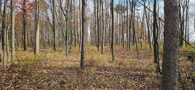 $29,900 | 417 Stocks Road, Owego, NY 13827