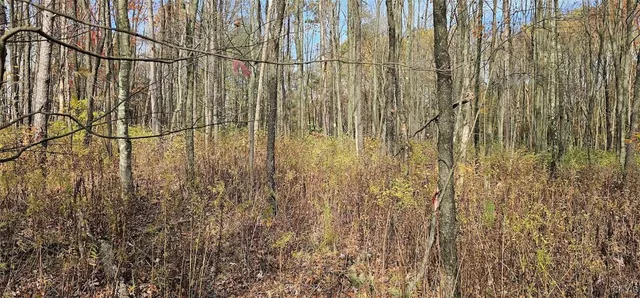 $29,900 | 417 Stocks Road, Owego, NY 13827