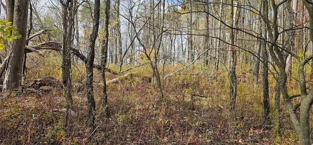 $29,900 | 417 Stocks Road, Owego, NY 13827