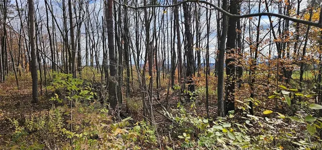 $29,900 | 417 Stocks Road, Owego, NY 13827