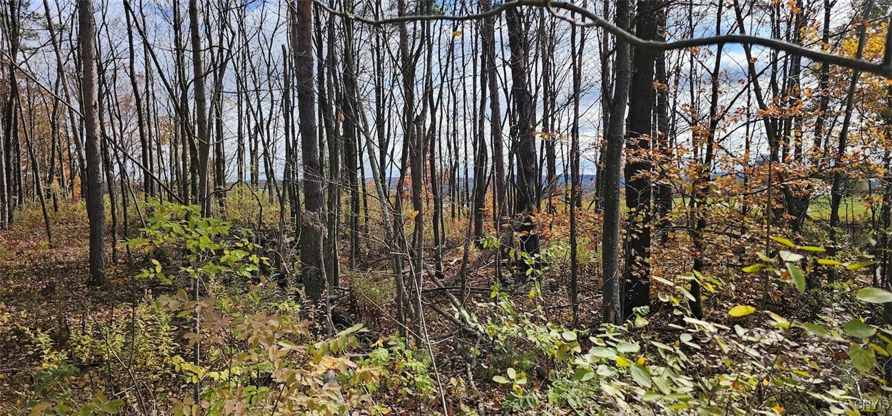 417 Stocks Road Owego, NY 13827 - Photo 2 of 17