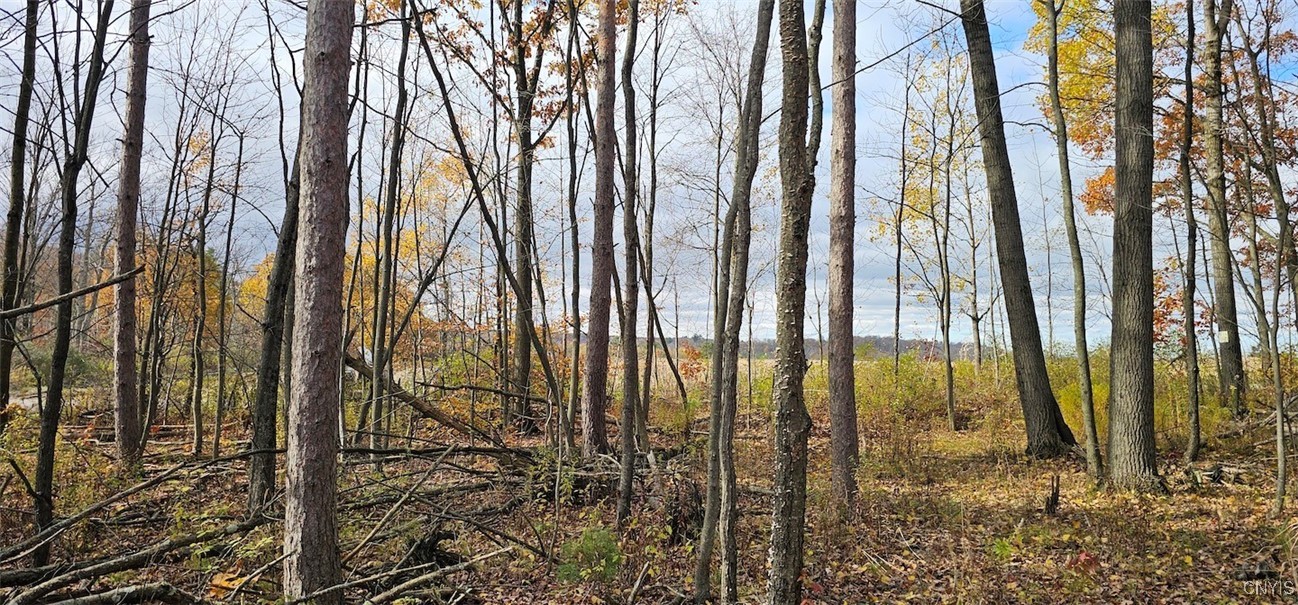 417 Stocks Road Owego, NY 13827 - Photo 3 of 17