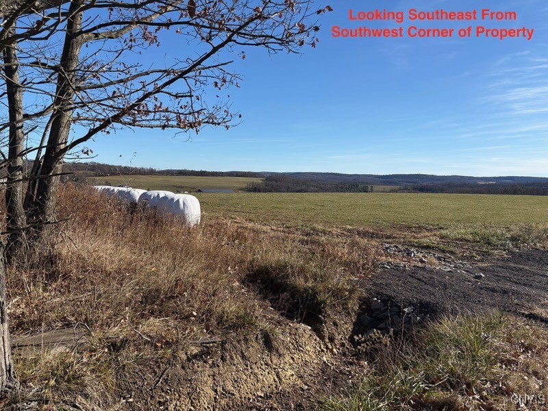 417 Stocks Road Owego, NY 13827 - Photo 5 of 17