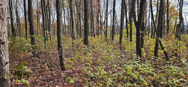 $29,900 | 417 Stocks Road, Owego, NY 13827