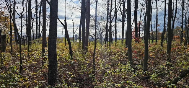 $29,900 | 417 Stocks Road, Owego, NY 13827