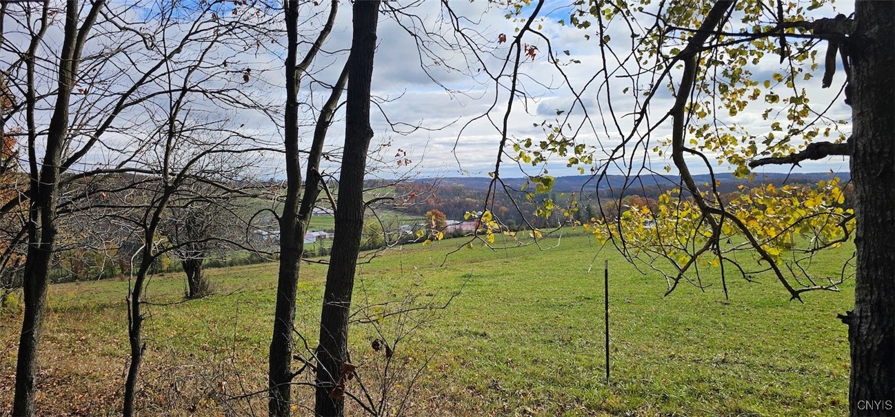 417 Stocks Road Owego, NY 13827 - Photo 8 of 17