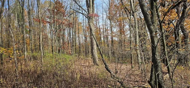 $29,900 | 417 Stocks Road, Owego, NY 13827