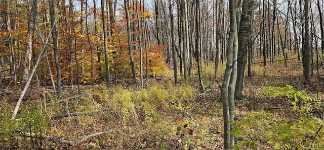 $29,900 | 417 Stocks Road, Owego, NY 13827