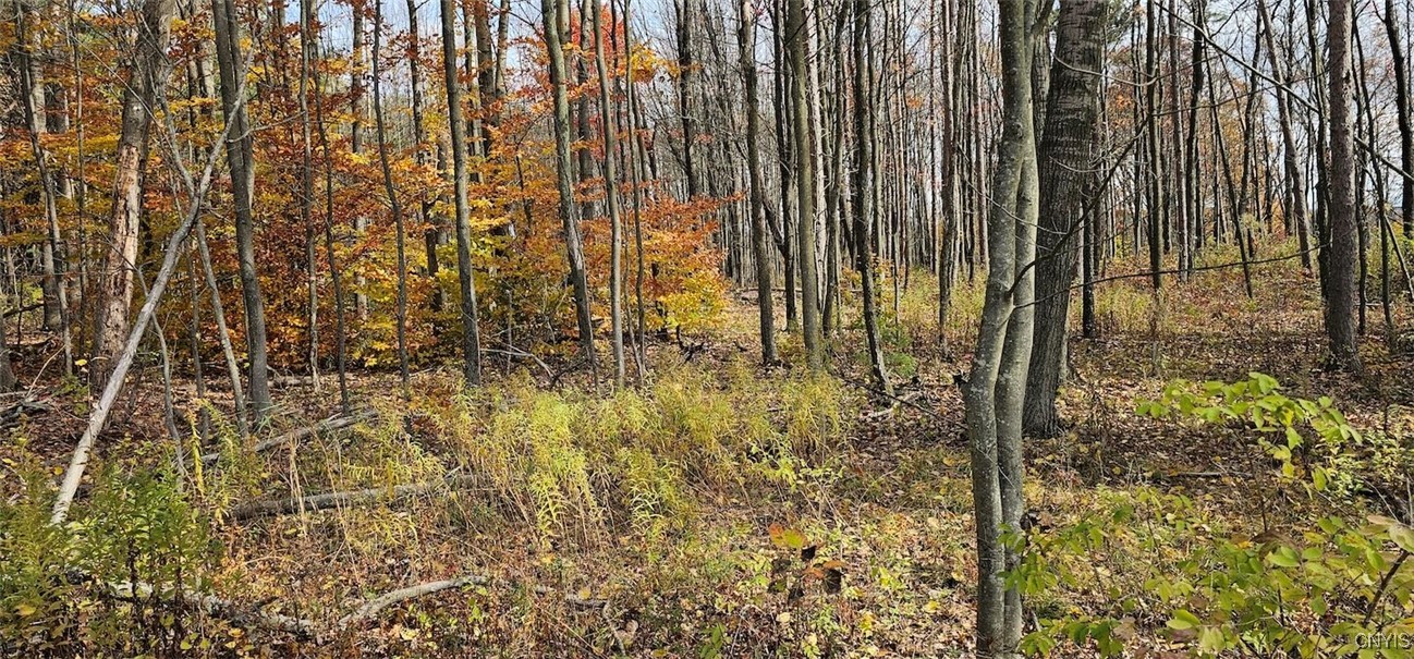 417 Stocks Road Owego, NY 13827 - Photo 10 of 17