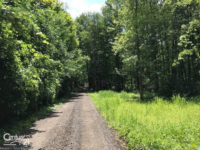 11176 North Pearson Road Utica, MI 48315 - Photo 7 of 48