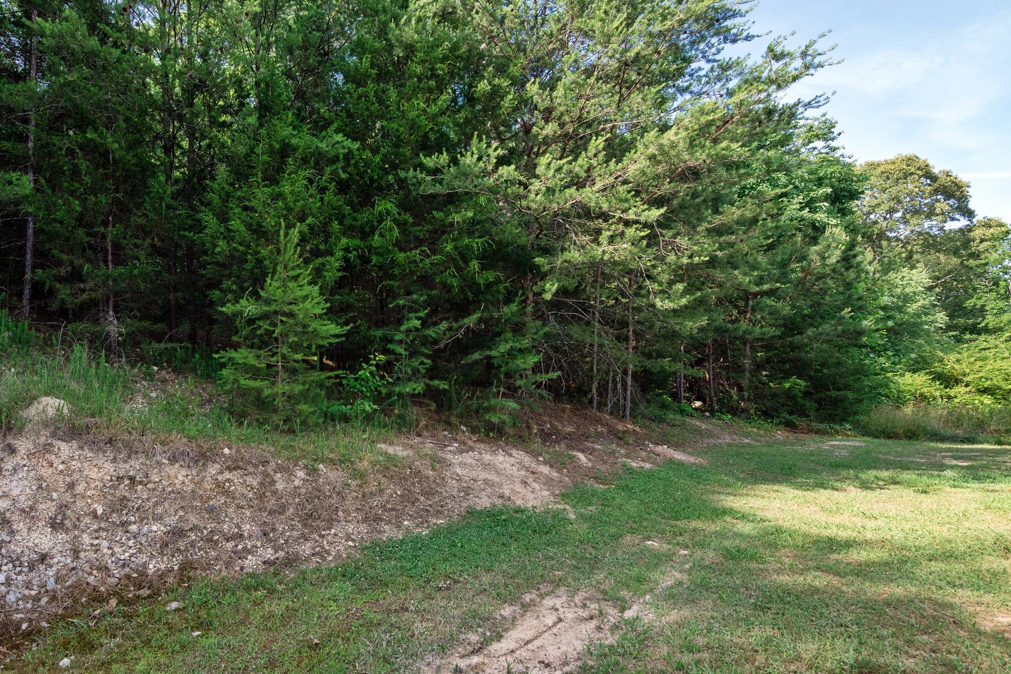 2503 Hudlow Loop Road Dunlap, TN 37327 - Photo 24 of 30 Back yard