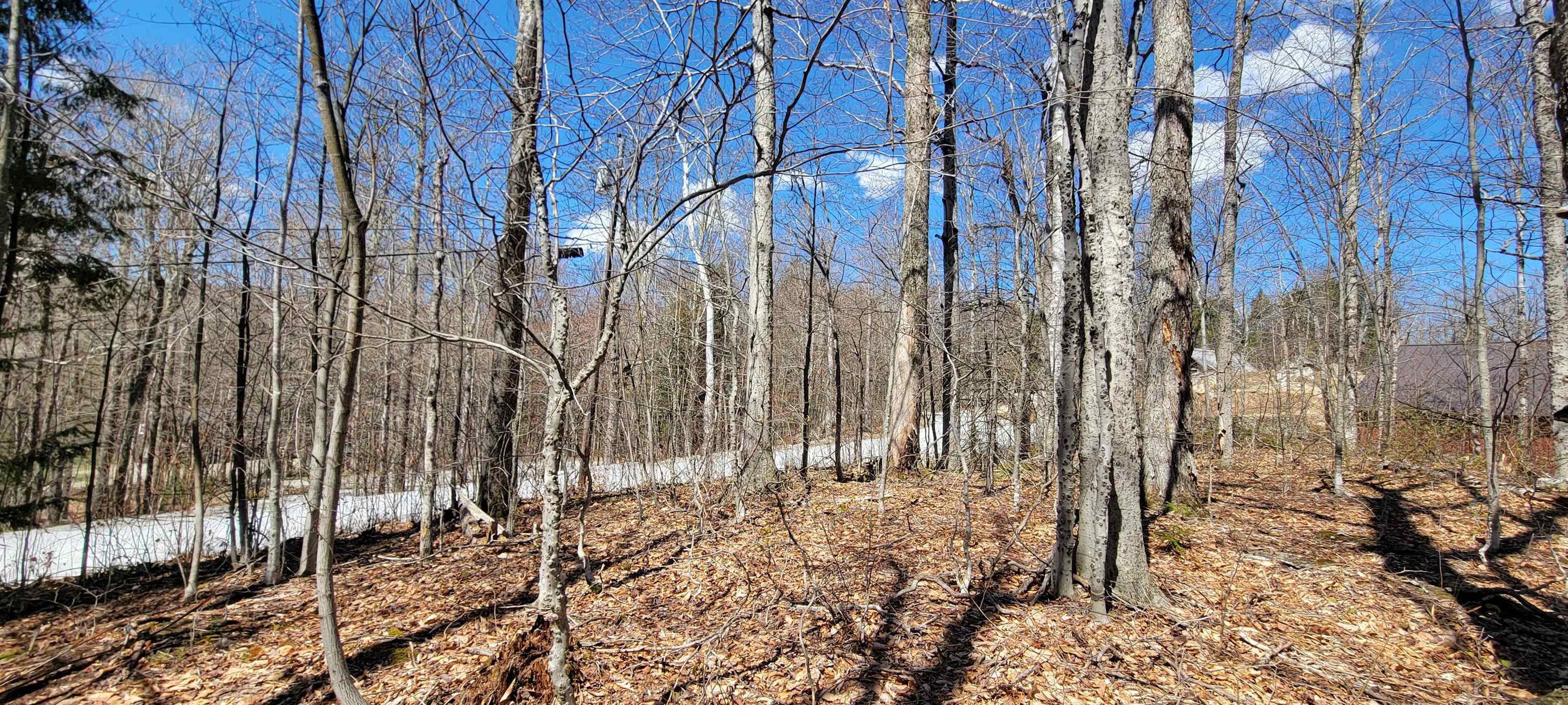 7 Spring Hill Road, Unit 7 Killington, VT 05751 - Photo 3 of 5