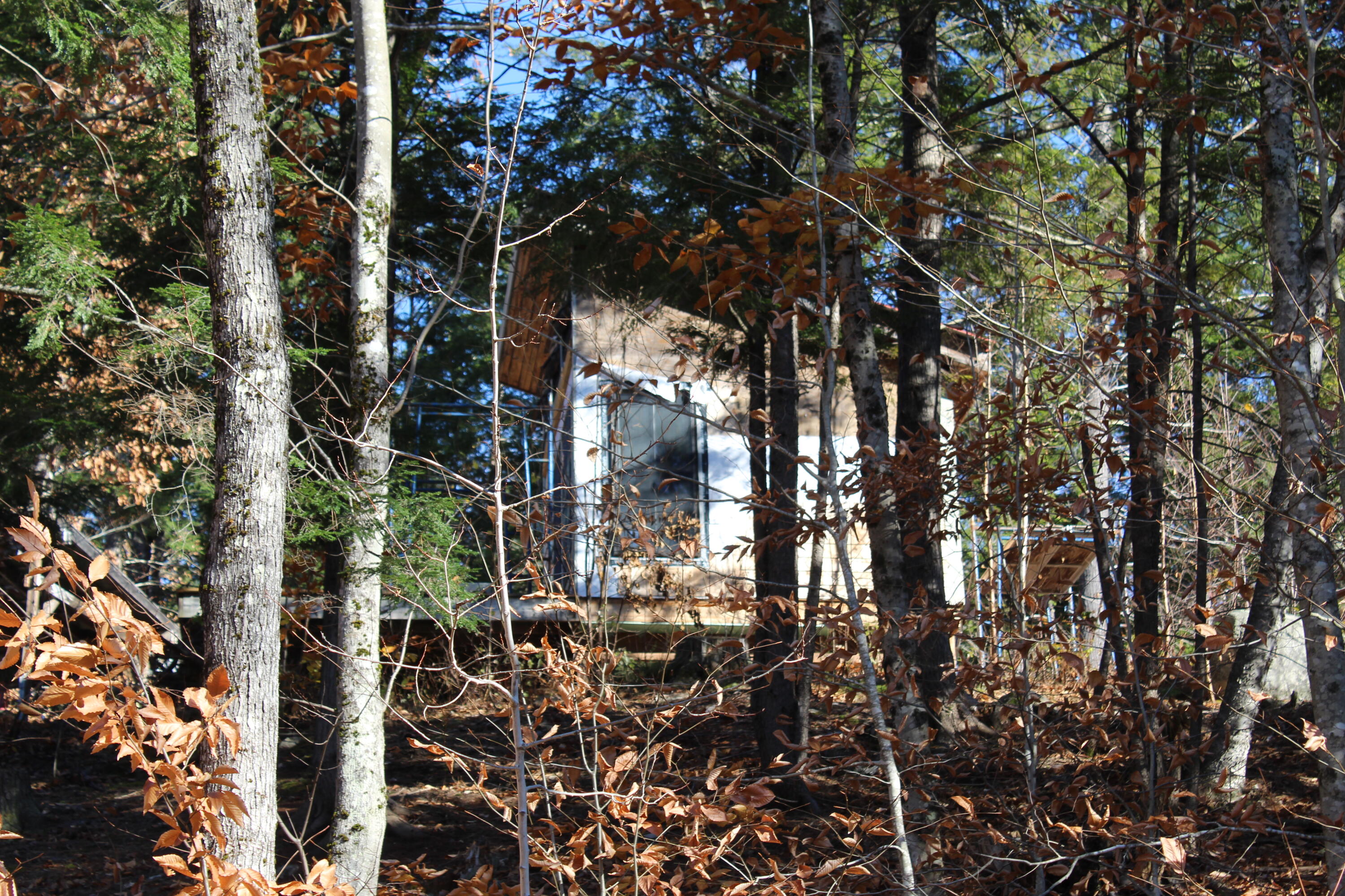 Lot # South Barbour Road Stow, ME 04037 - Photo 28 of 36 Cabin in the woods