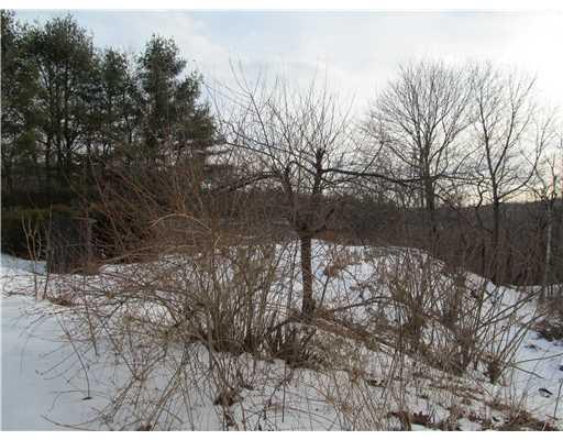 198 Ferry Road Chelsea, ME 04330 - Photo 14 of 25 Yard/Garden.