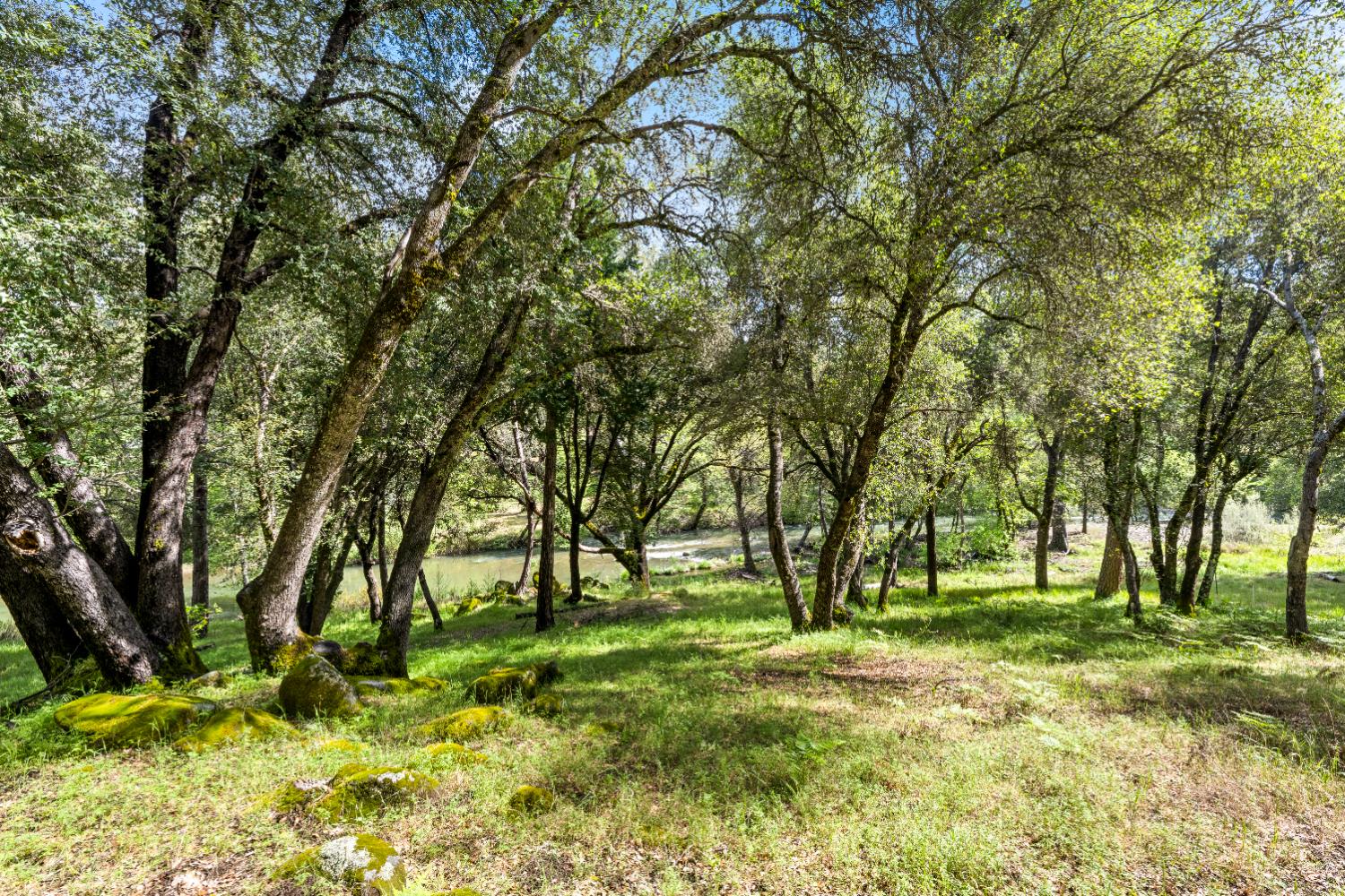 7321 Morning Canyon Road Placerville, CA 95667 - Photo 24 of 39 a view of outdoor space with deck and tree