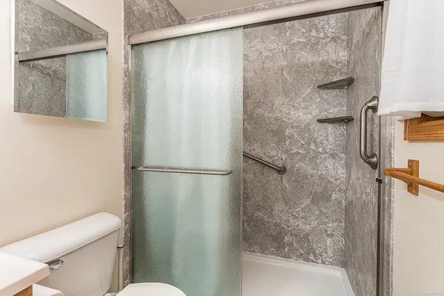 a bathroom with a shower and a toilet