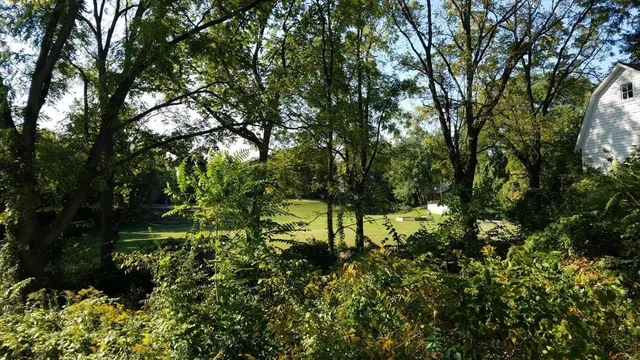 $425,000 | 717 West Liberty Street, Ann Arbor, MI 48103