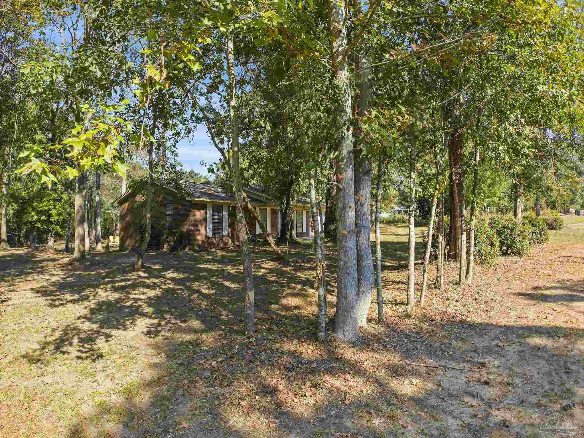 4200 Rigby Road Century, FL 32535 - Photo 62 of 71 a view of a yard with large trees