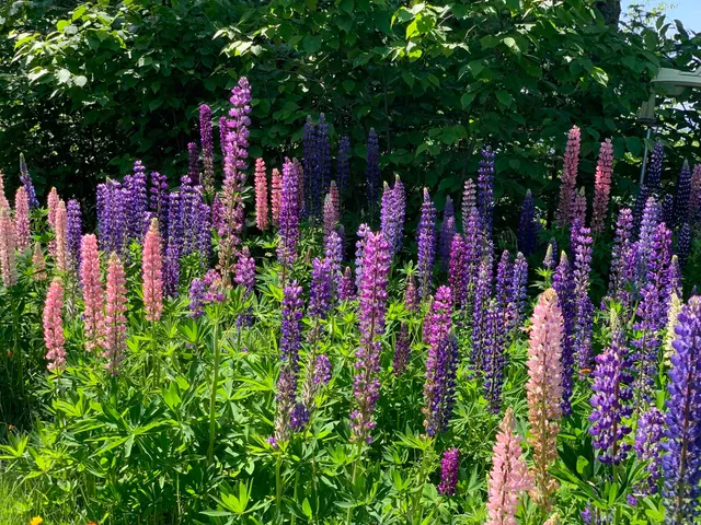 $597,900 | 87985 Bark Point Road, Herbster, WI 54844