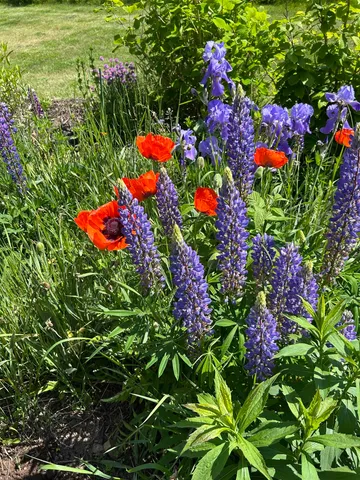 $597,900 | 87985 Bark Point Road, Herbster, WI 54844