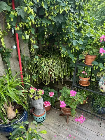 $597,900 | 87985 Bark Point Road, Herbster, WI 54844