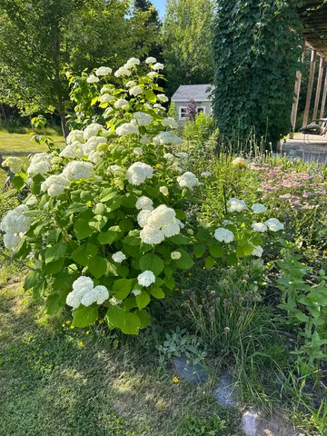 $597,900 | 87985 Bark Point Road, Herbster, WI 54844