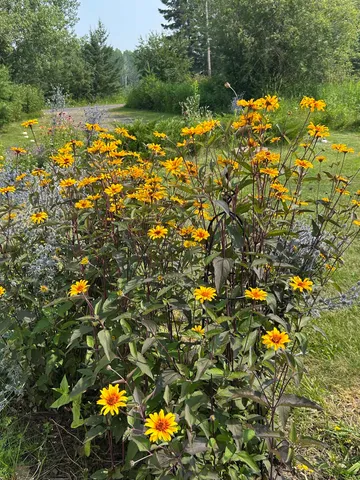 $597,900 | 87985 Bark Point Road, Herbster, WI 54844