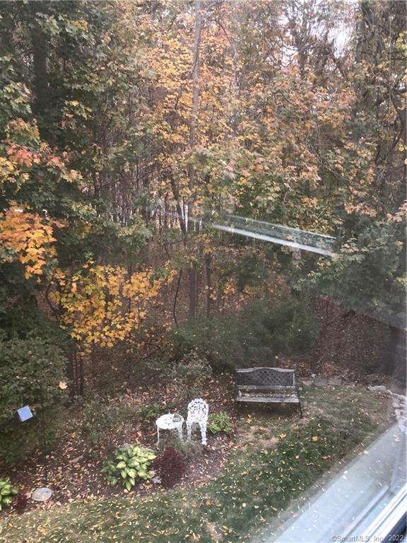 66 Hillandale Road, Unit 2 Fairfield, CT 06825 - Photo 31 of 33 a view of a forest with water fountain