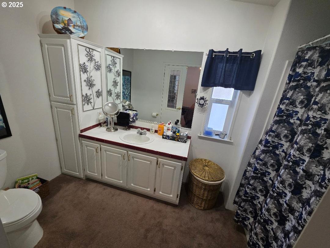 232 South Oak Road Wamic, OR 97063 - Photo 25 of 31 a bathroom with a sink toilet and shower