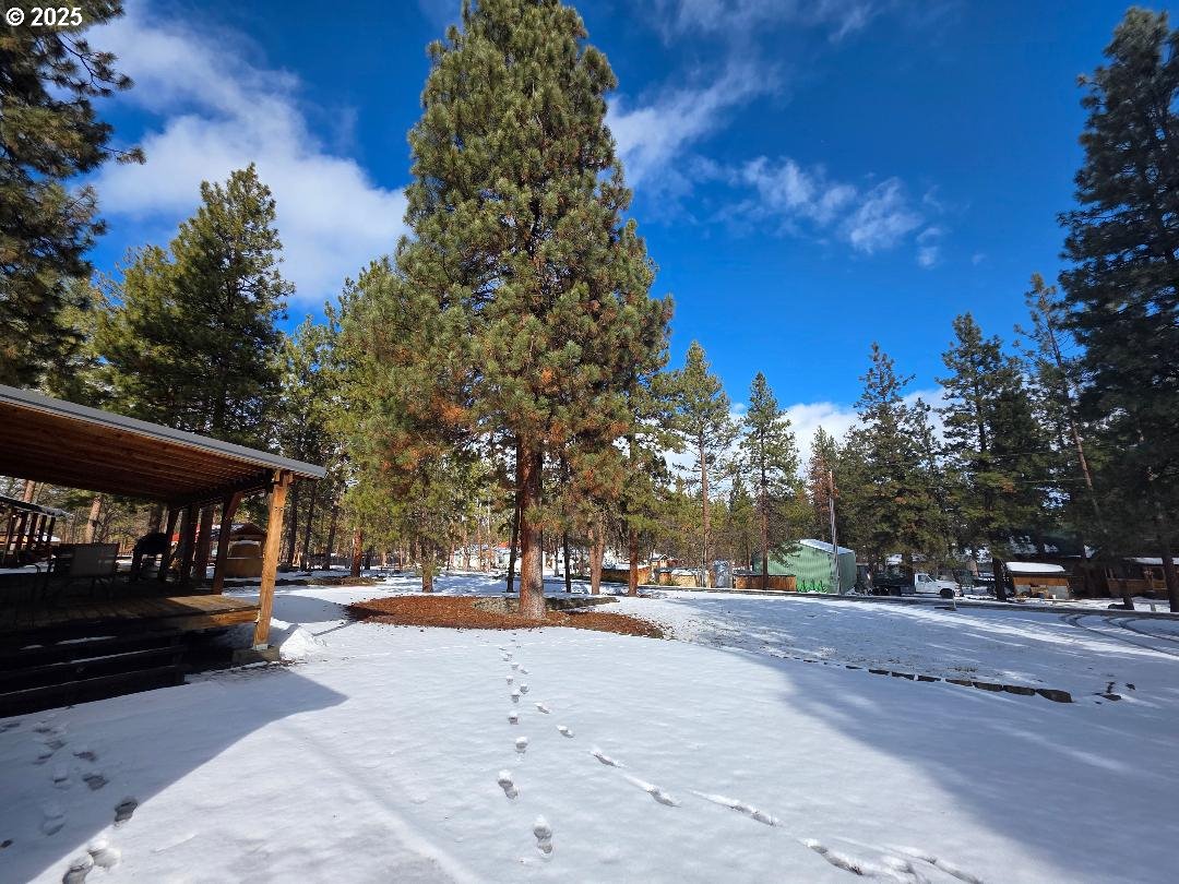 232 South Oak Road Wamic, OR 97063 - Photo 30 of 31 a view of road with trees