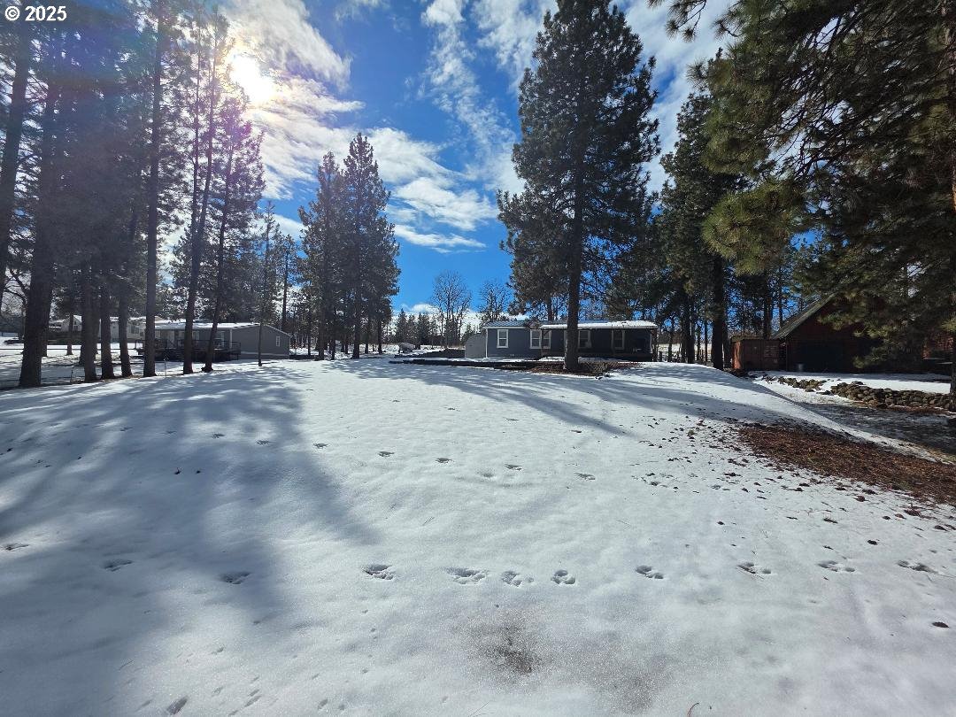 232 South Oak Road Wamic, OR 97063 - Photo 3 of 31 a view of road and trees