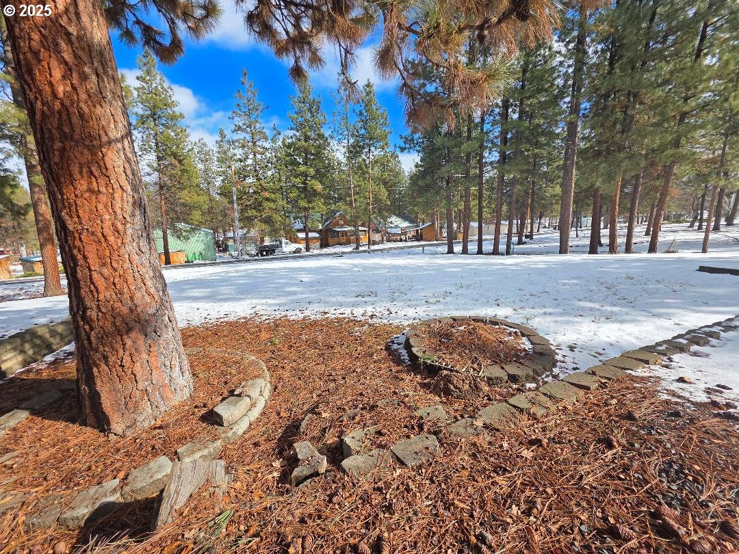 232 South Oak Road Wamic, OR 97063 - Photo 31 of 31 a view of a yard with a tree