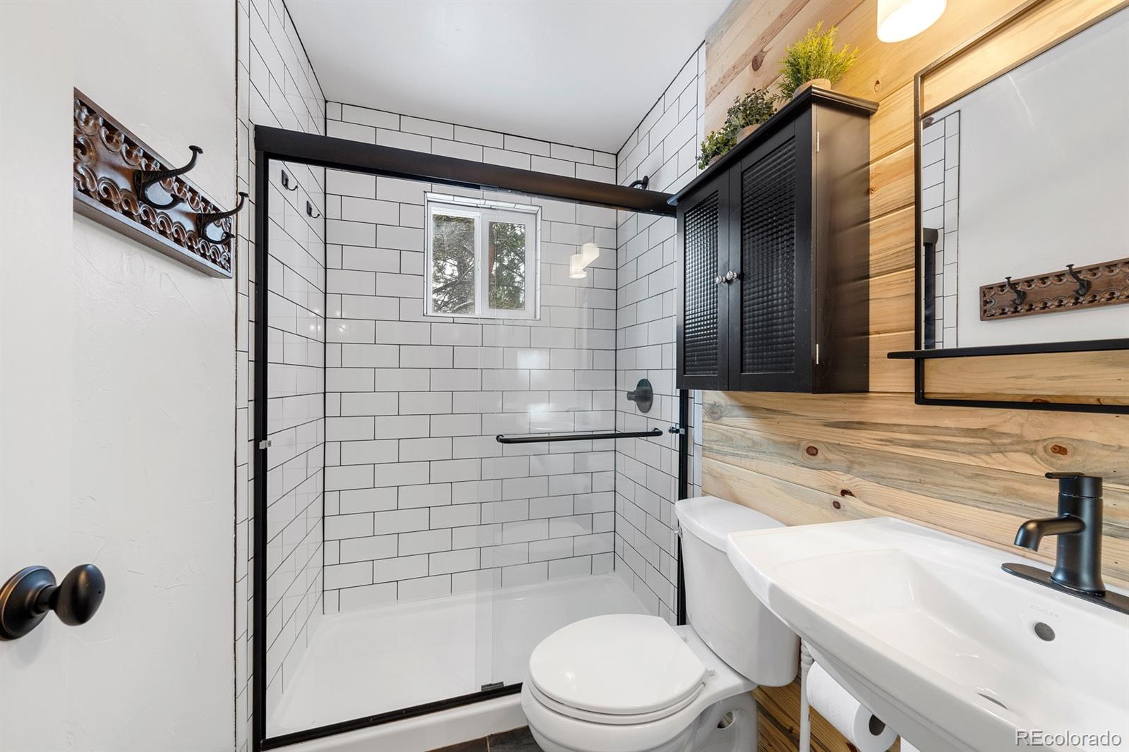 437 Kutsu Ridge Road Florissant, CO 80816 - Photo 4 of 24 a bathroom with a sink toilet and shower