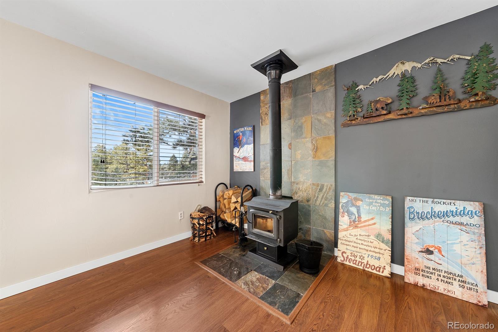 437 Kutsu Ridge Road Florissant, CO 80816 - Photo 6 of 24 a living room with furniture and a wooden floor